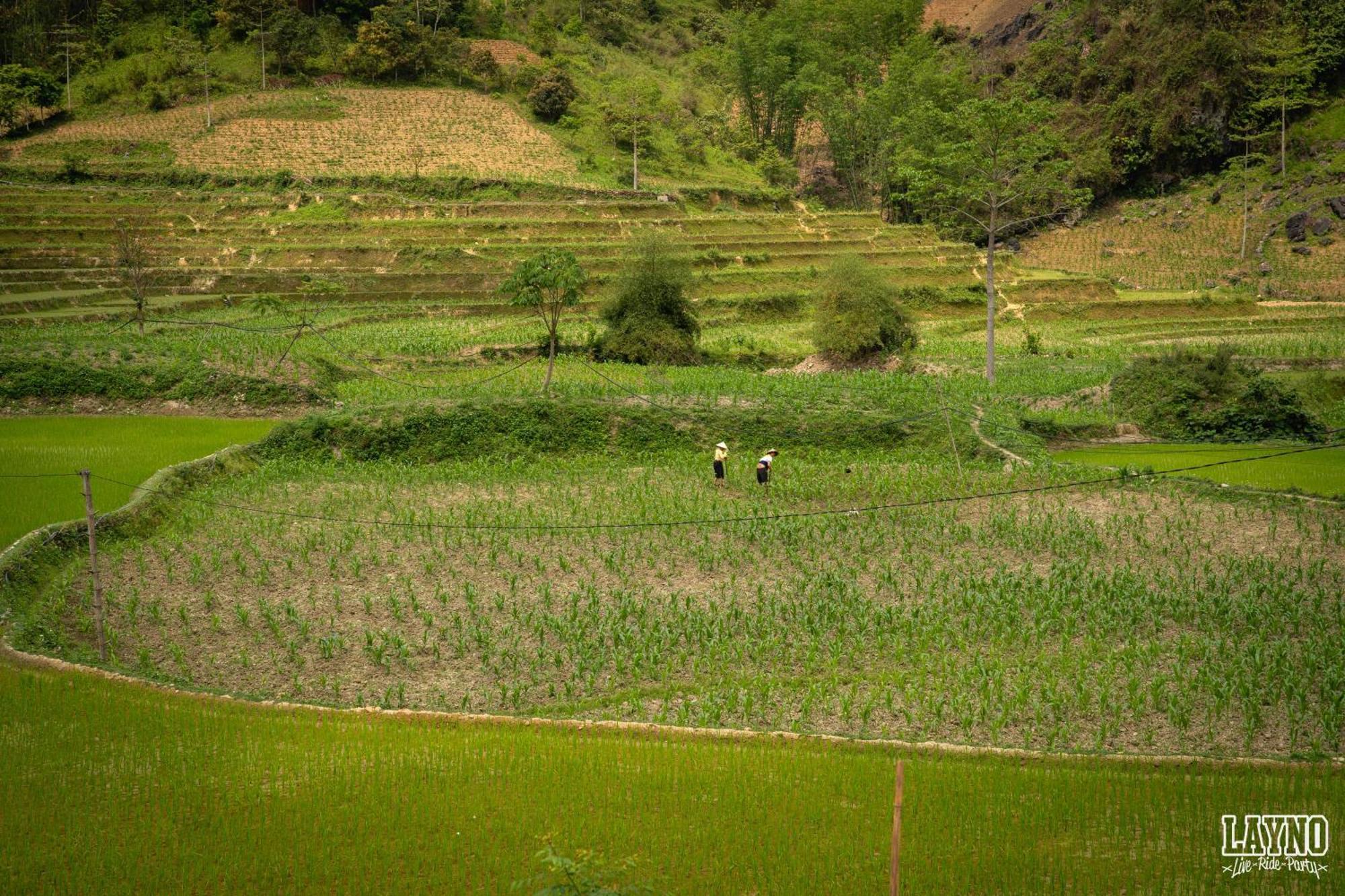 Quiri Hostel Ha Giang Lang Lap Exterior photo